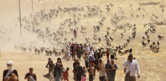 Yezidi women, Yezidis, sex slave, Islamic State, Sinjar, devil worshippers
