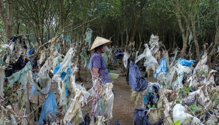Plastic bags stuck in trees in Vietnam