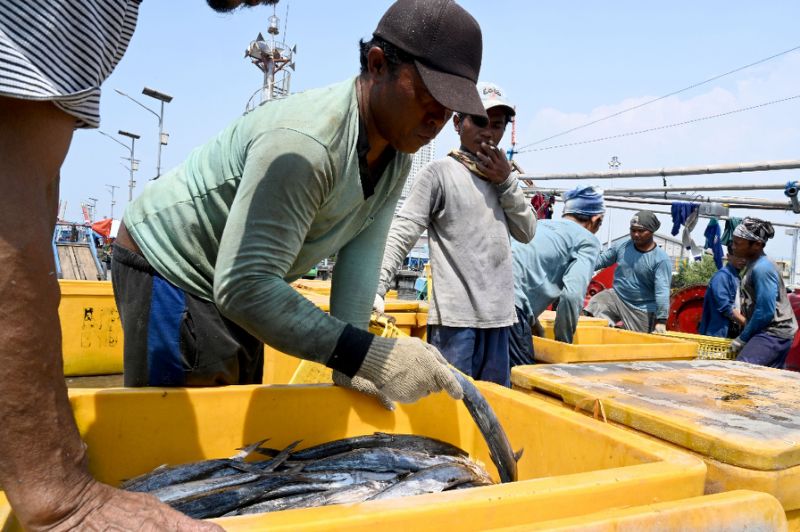 'Slavery' on the Seas: Forced Labor Widespread in Global Fishing Industry