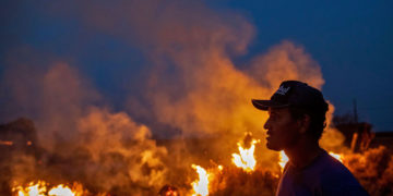 A laborer stares at a fire that spread to the farm he worked on next to a highway in Nova Santa Helena municipality in northern Mato Grosso state, in the Amazon basin in Brazil