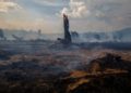 Charred areas of the Amazon rainforest in Brazil, August 27, 2019