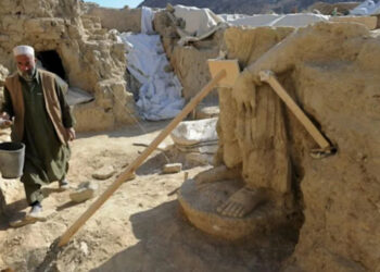 Afghan heritage