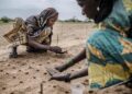 A woman plants some seeds as part of a tree plantation project to reforest the Sahel